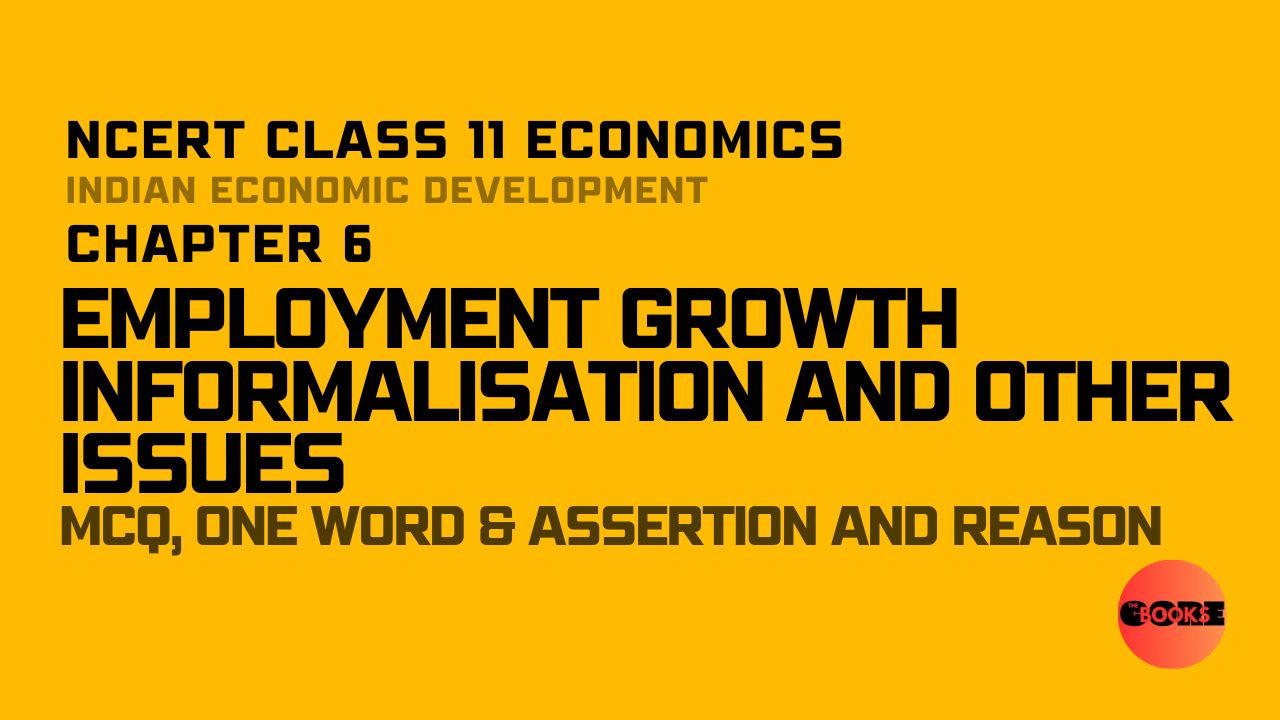 NCERT Class 11 Economics Chapter 6 Employment Growth Informalisation and Other Issues Important Questions