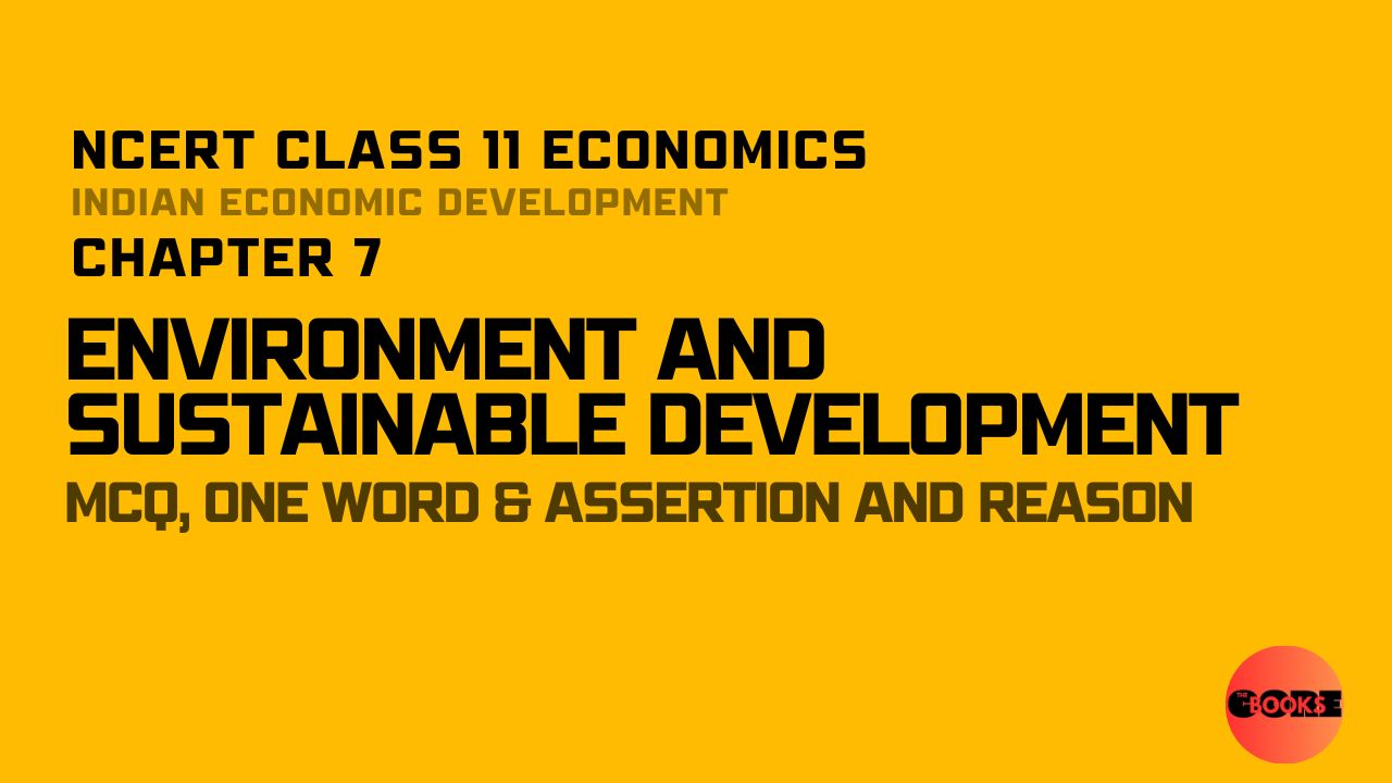 NCERT Class 11 Economics Chapter 7 Environment and Sustainable Development Important Questions