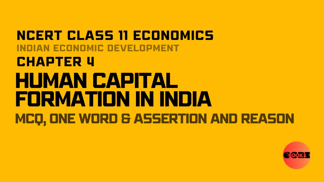 NCERT Class 11 Economics Chapter 4 Human Capital Formation in India Important Questions